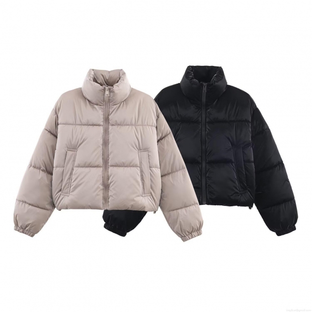 Women's Shiny Polyester Puffer Jacket With Polyester Cotton Filling Short Stand Collar Water-Repellent Windproof Winter Quilted Coat Casual Fashion Outerwear